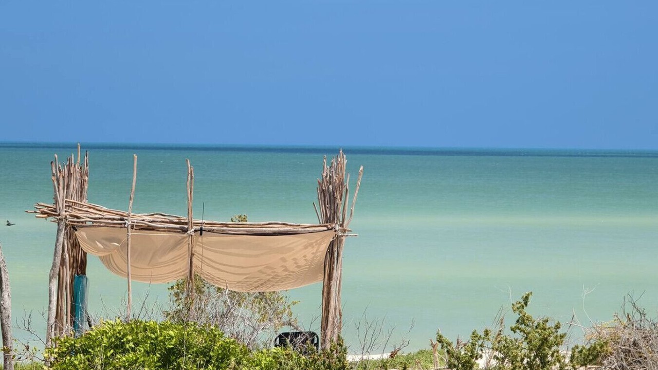 Photo of Others in Sisal