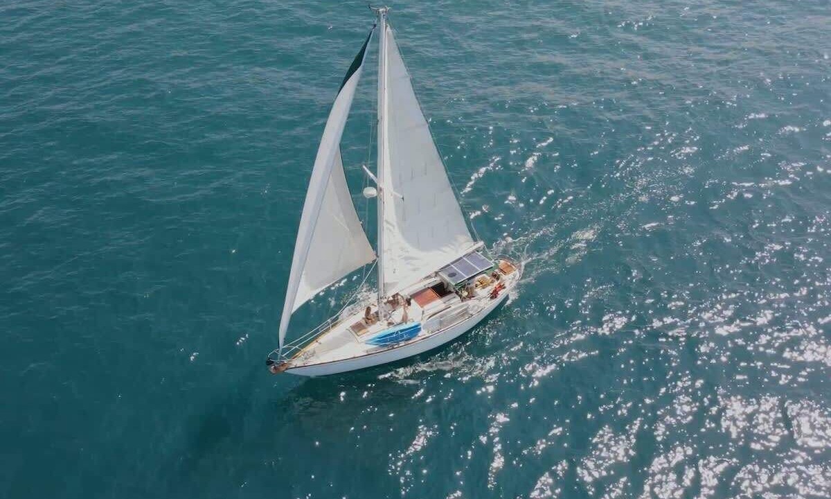 Photo of Others in Puerto Vallarta