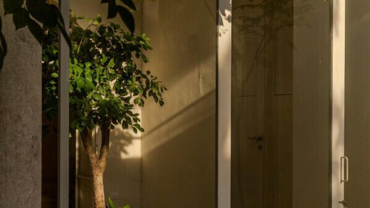 Photo of Outdoor in Centro