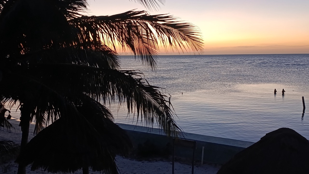 Photo of Others in Isla Holbox