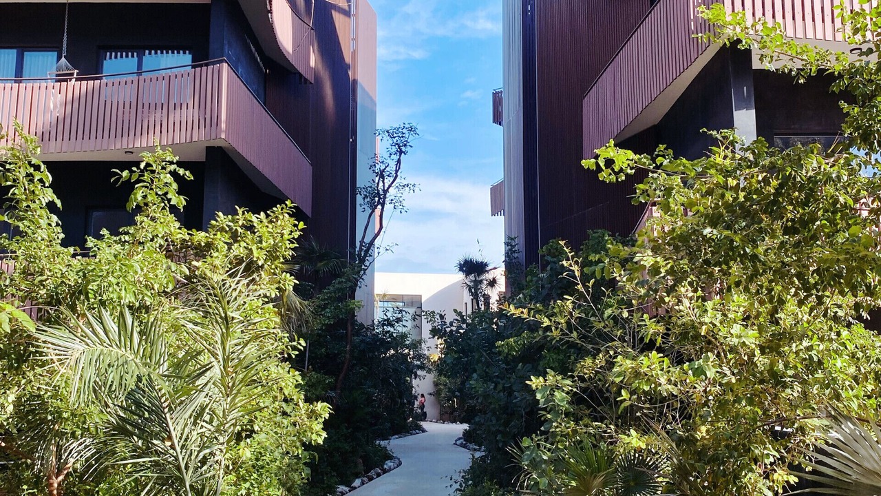 Photo of Outdoor in Playa Paraiso