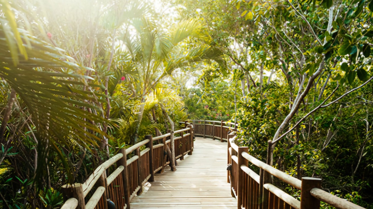 Photo of Outdoor in Playacar Fase II