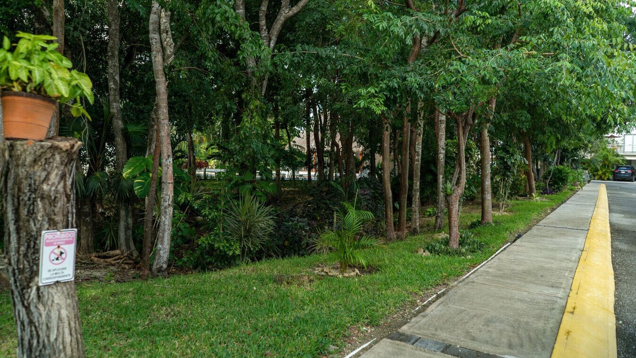 Photo of Outdoor in Playa del Carmen