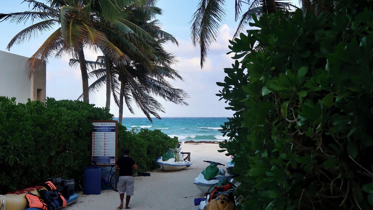 Photo of Others in Playacar