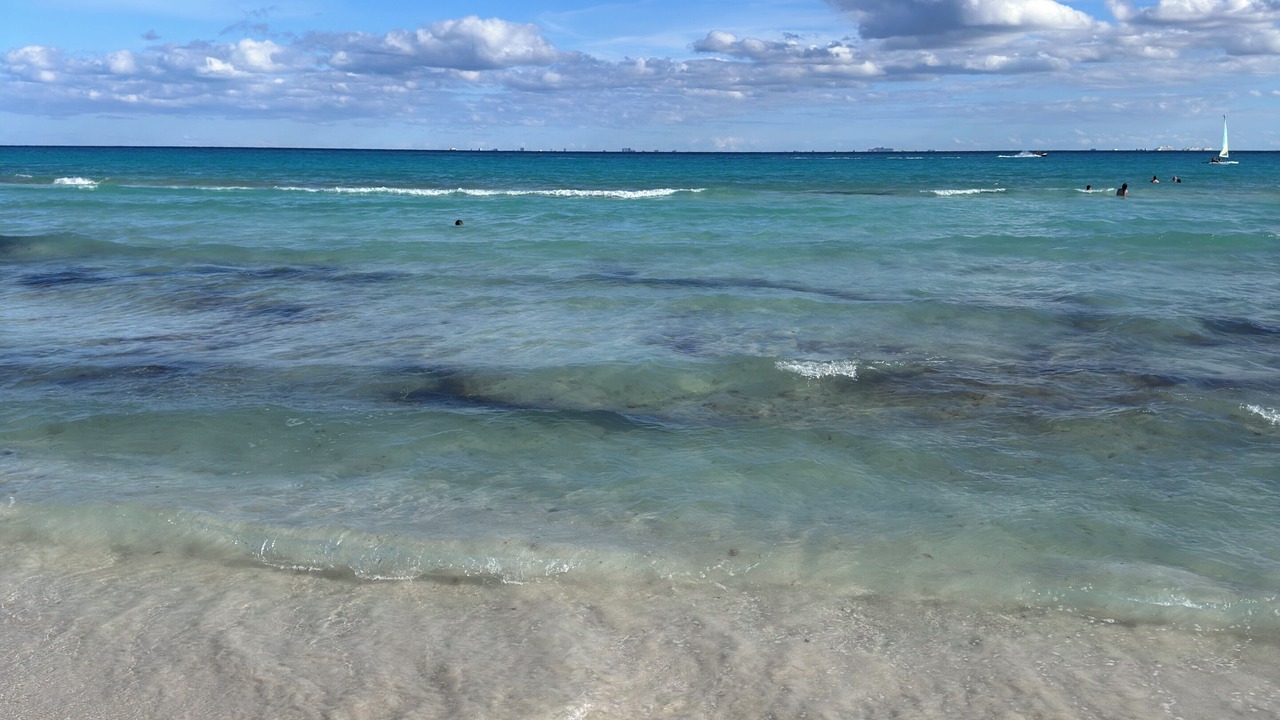 Photo of Others in Playacar