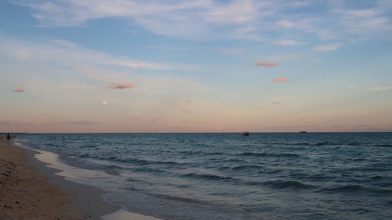 Photo of Others in Playacar