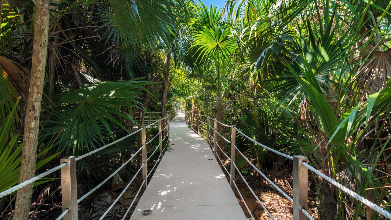 Photo of Outdoor in Akumal