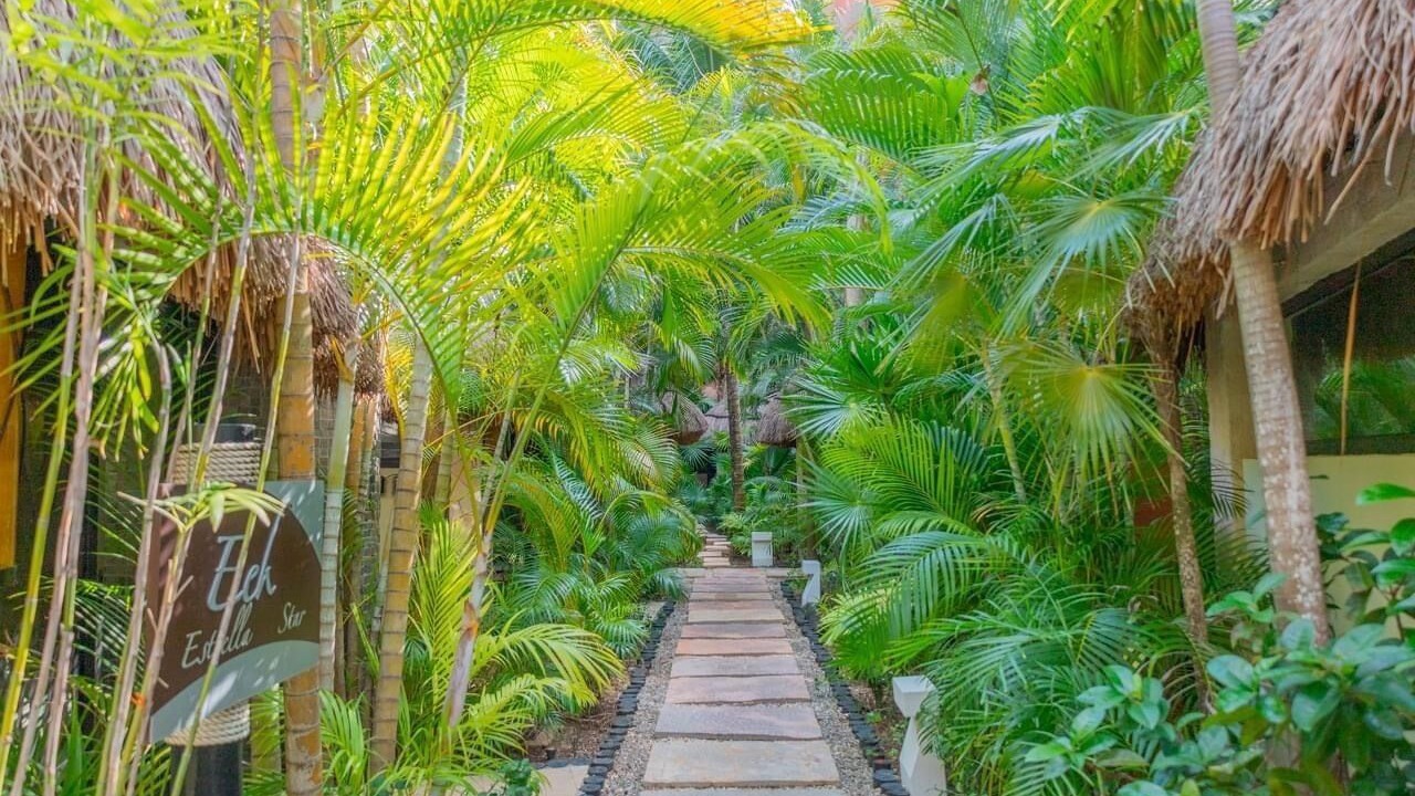 Photo of Outdoor in Playa Mujeres