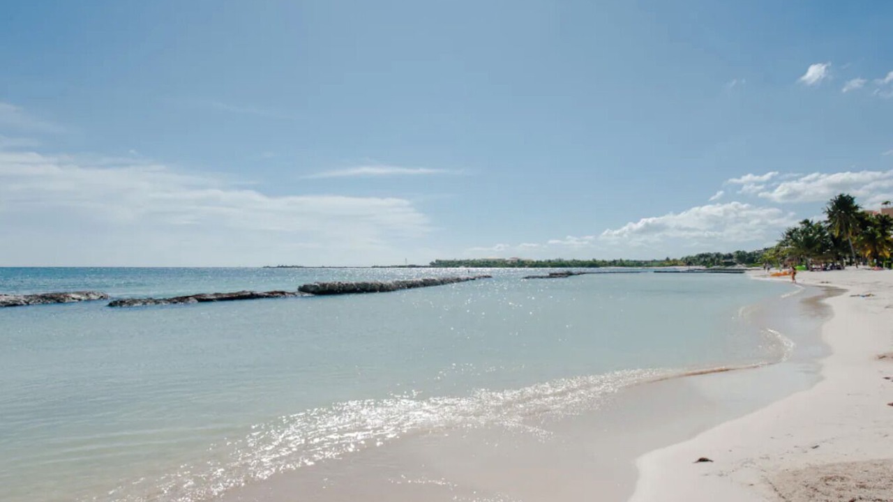 Photo of Others in Puerto Aventuras