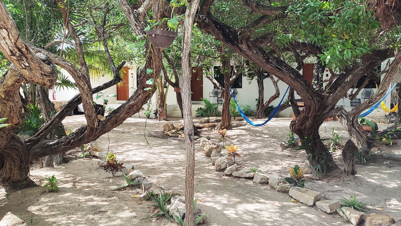 Photo of Outdoor in Isla Holbox