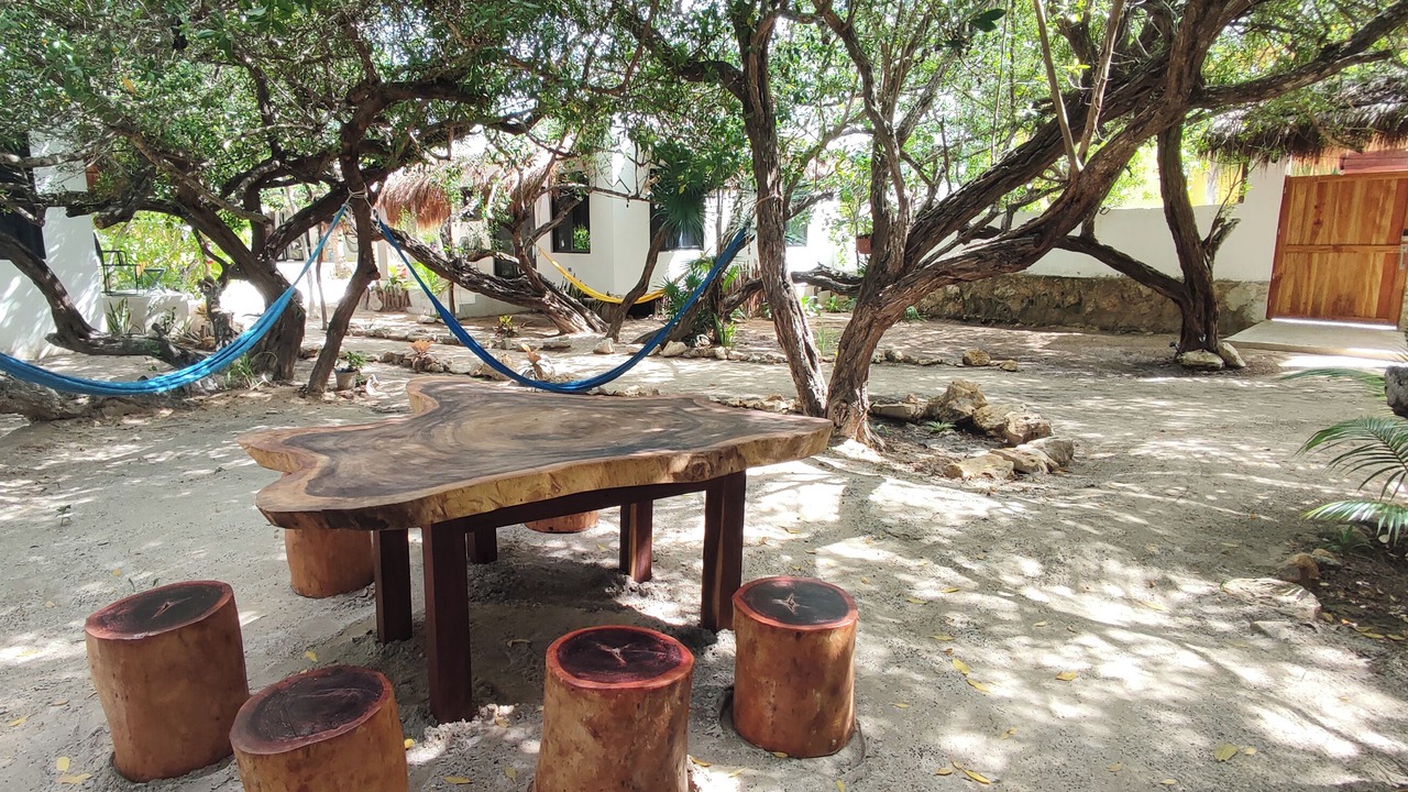 Photo of Others in Isla Holbox