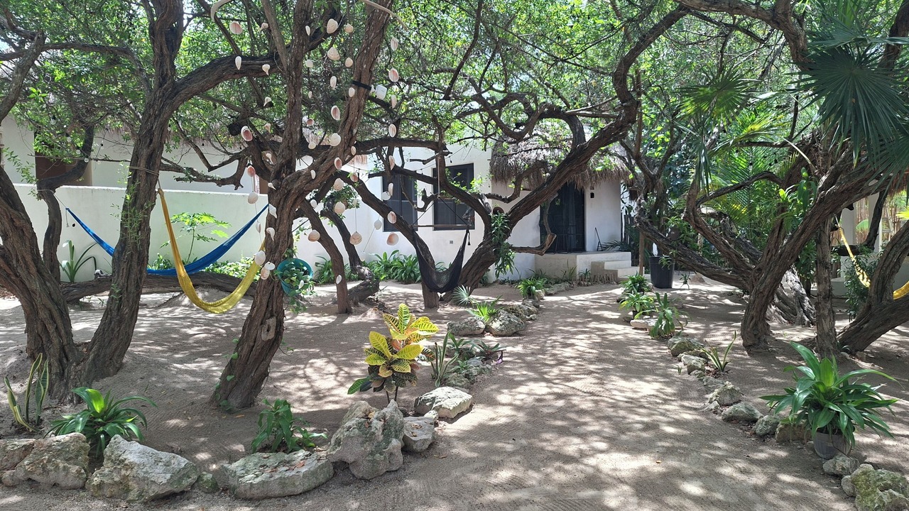 Photo of Others in Isla Holbox
