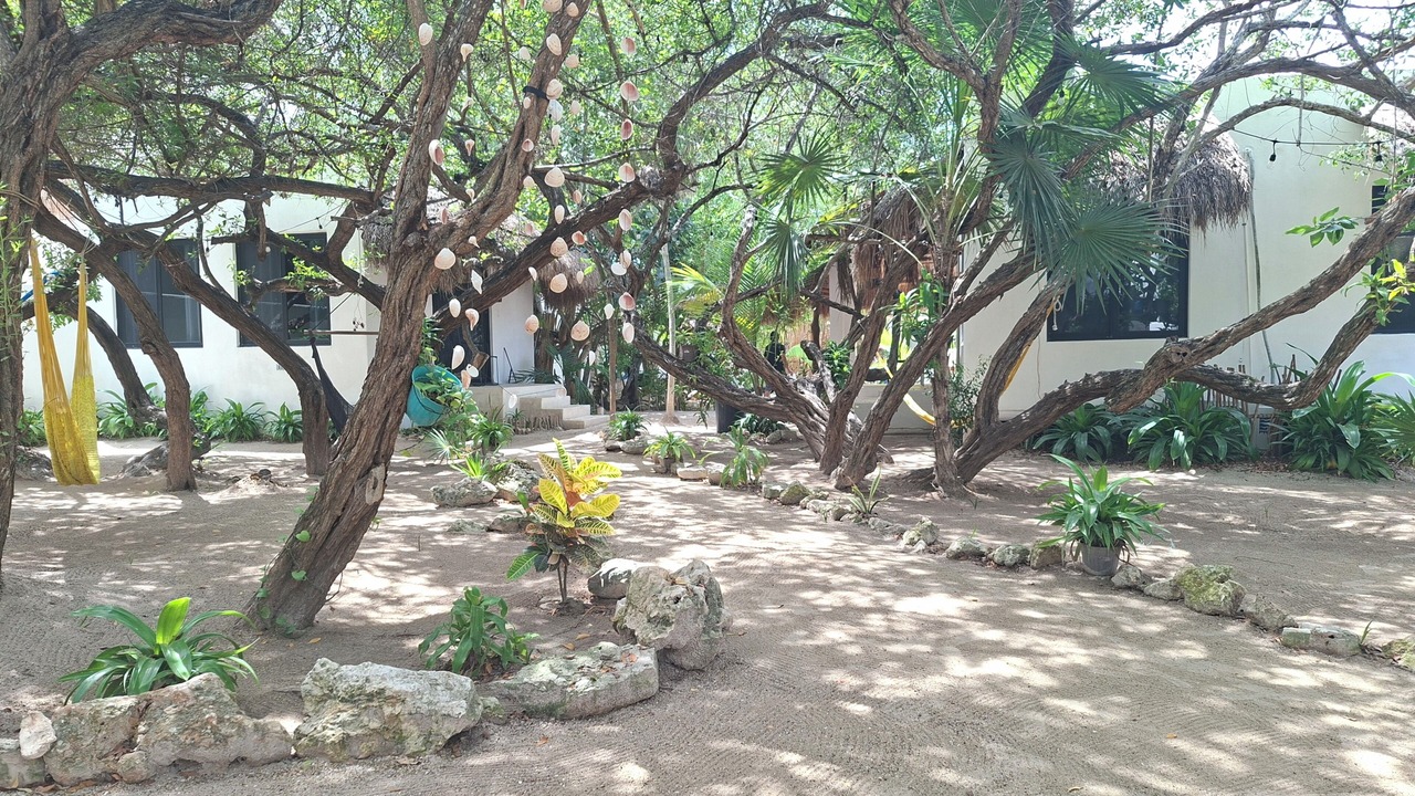 Photo of Others in Isla Holbox