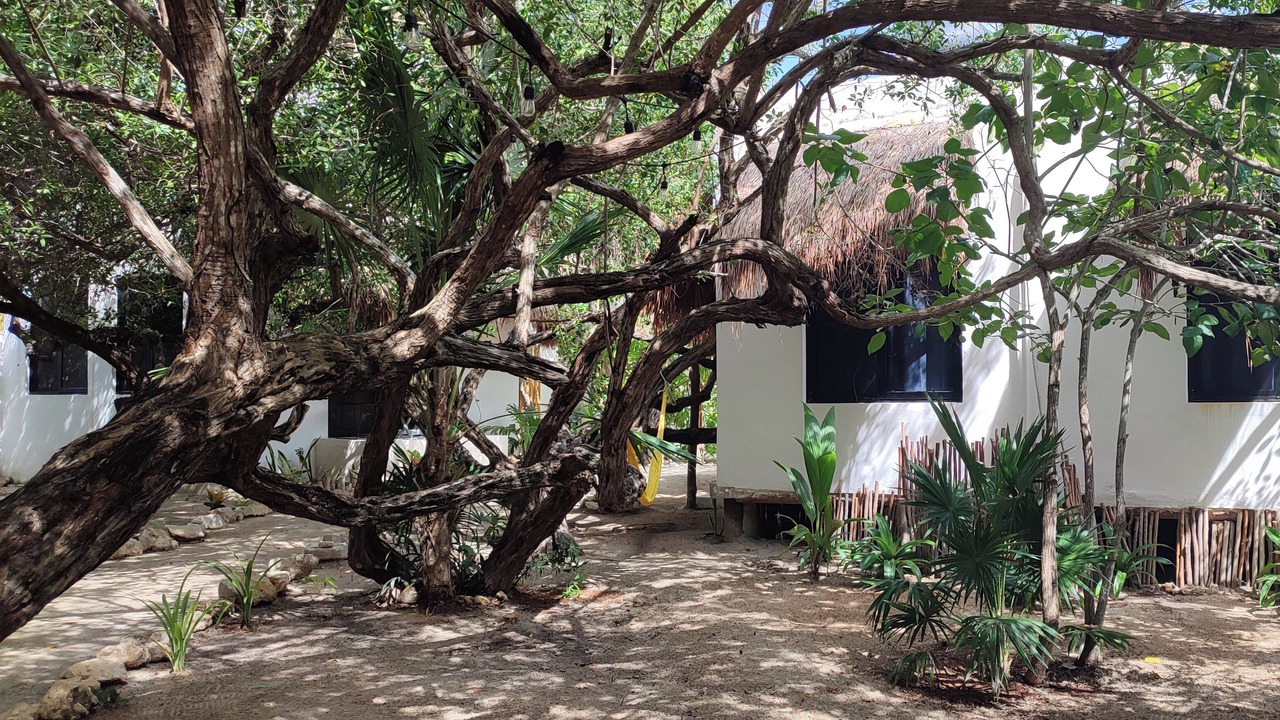 Photo of Bedroom in Isla Holbox