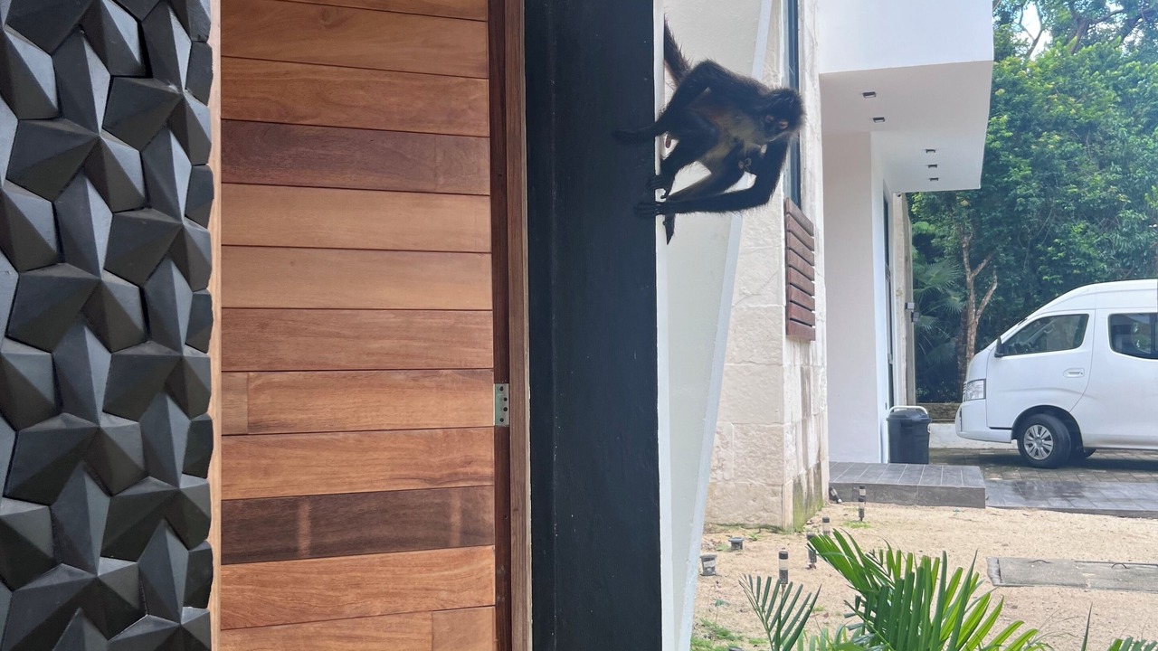 Photo of Outdoor in Puerto Morelos