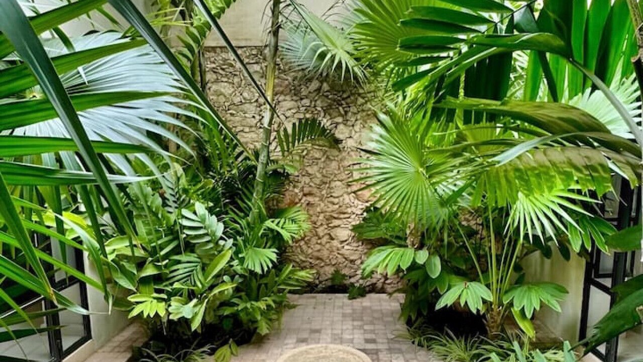 Photo of Outdoor in Centro