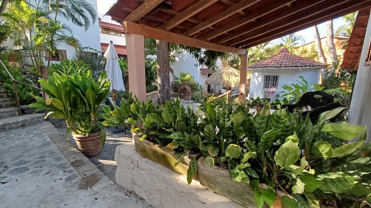 Photo of Outdoor in Playa Las Gatas
