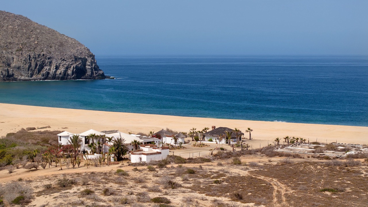Photo of Others in Todos Santos