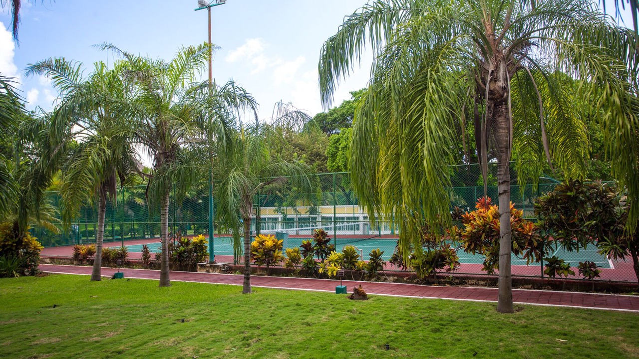 Photo of Others in Playacar