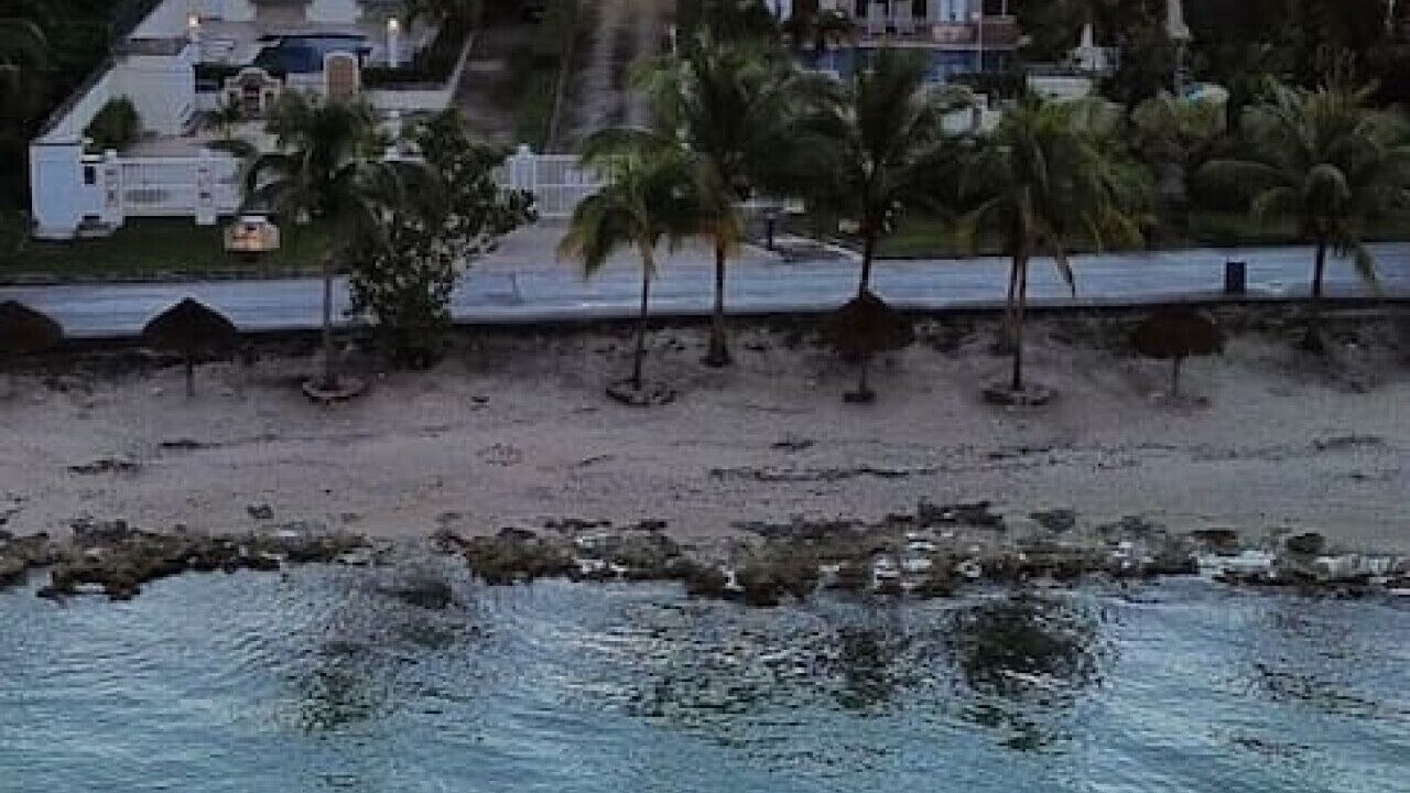 Photo of Outdoor in Cozumel