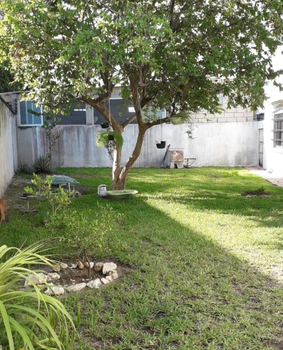Photo of Others in Ciudad del Carmen