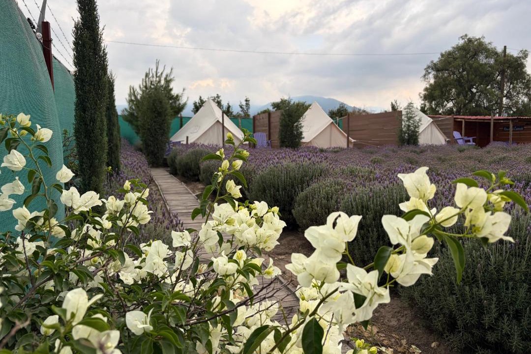 Photo of Others in Texcoco de Mora