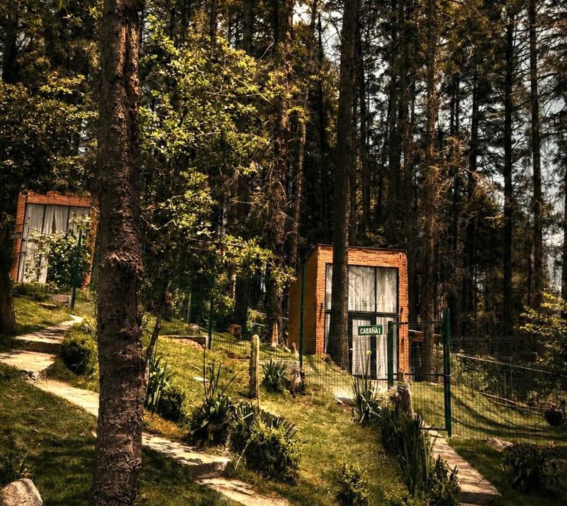 Photo of Others in Mineral del Monte