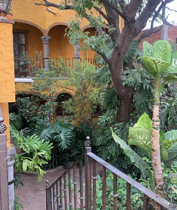 Photo of Others in San Miguel de Allende