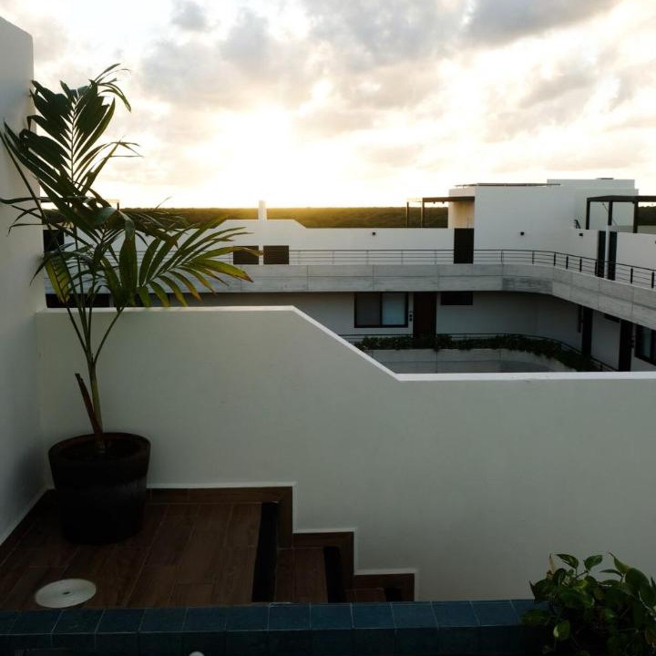 Photo of Others in Tulum