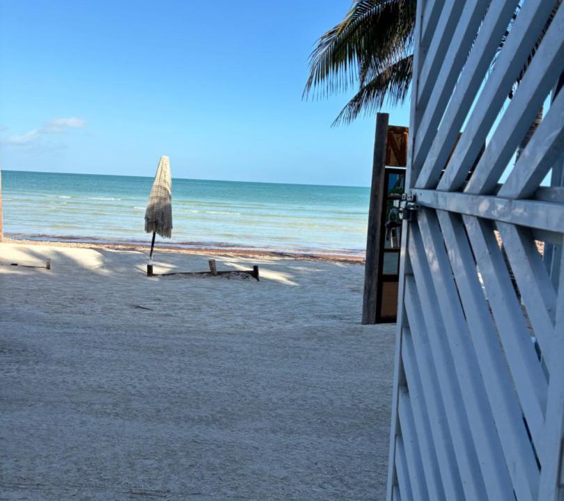 Photo of Others in Isla Holbox