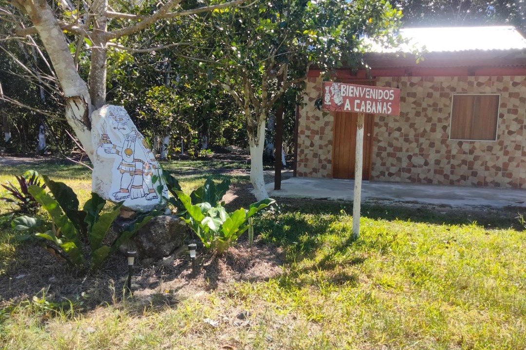 Photo of Others in Xpujil