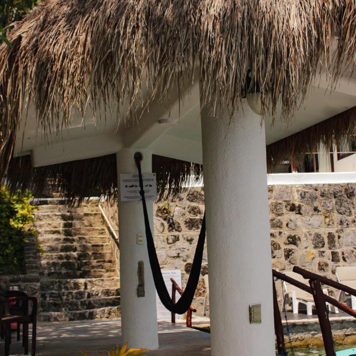 Photo of Others in Chetumal