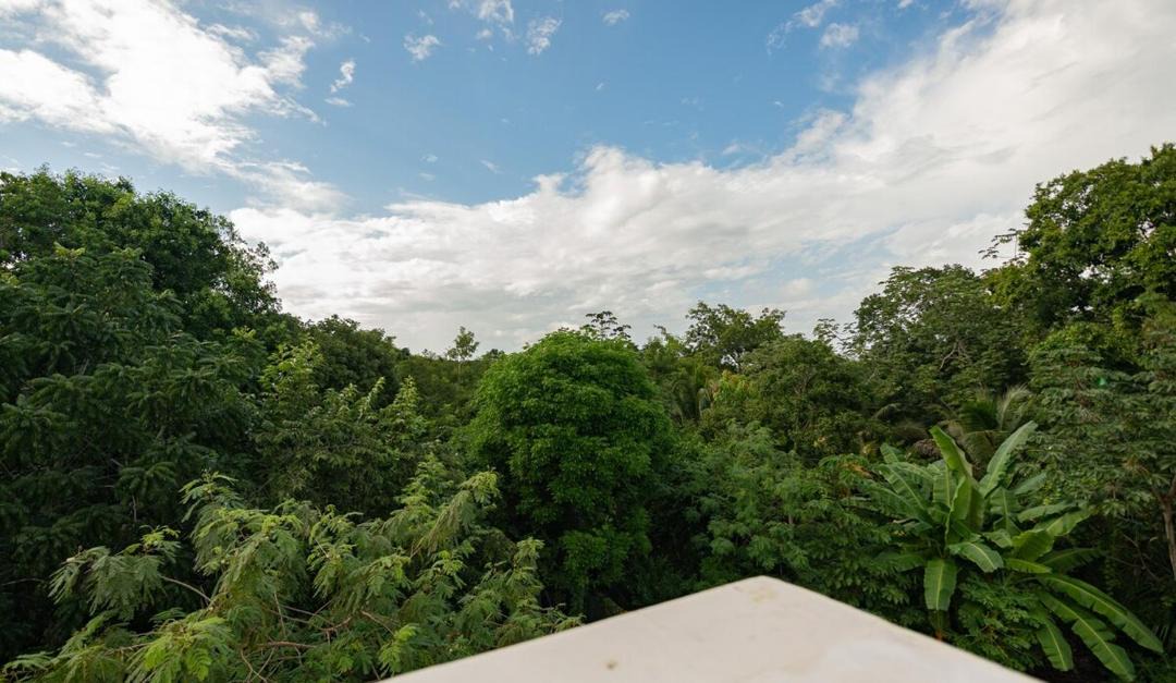 Photo of Others in Coba