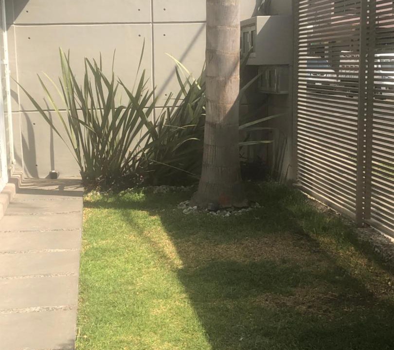 Photo of Others in Lindavista