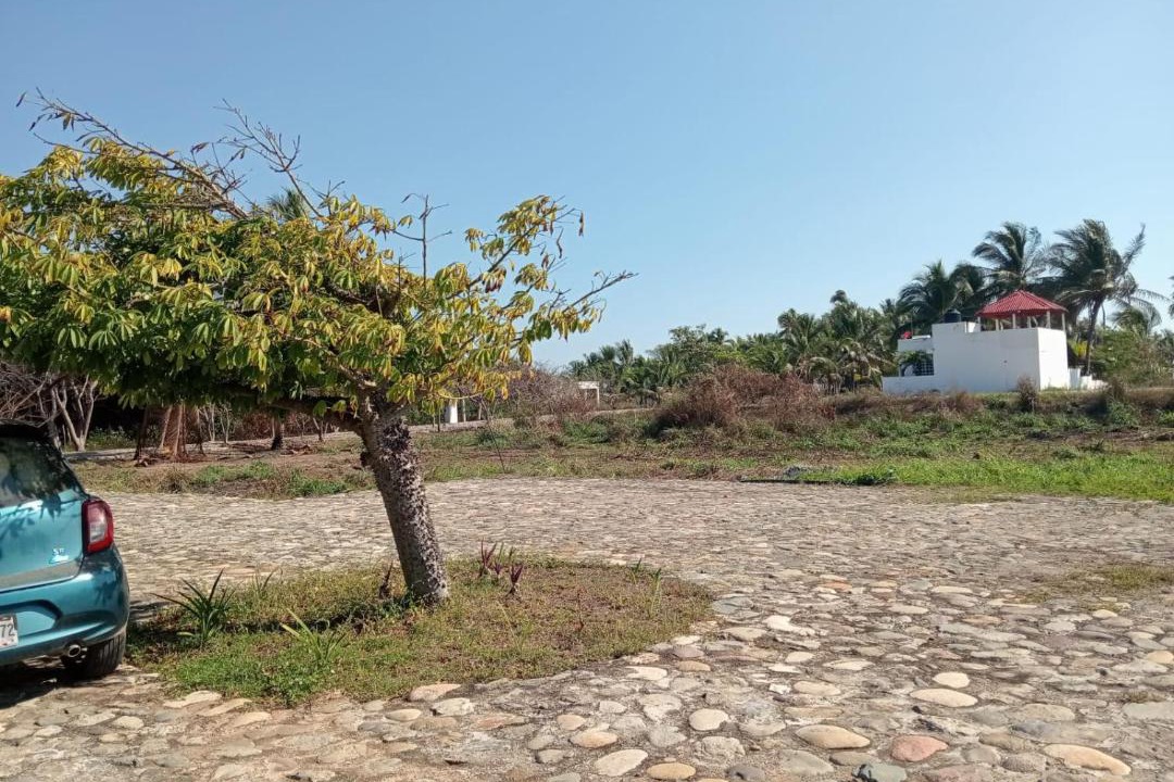 Photo of Others in Las Calabazas