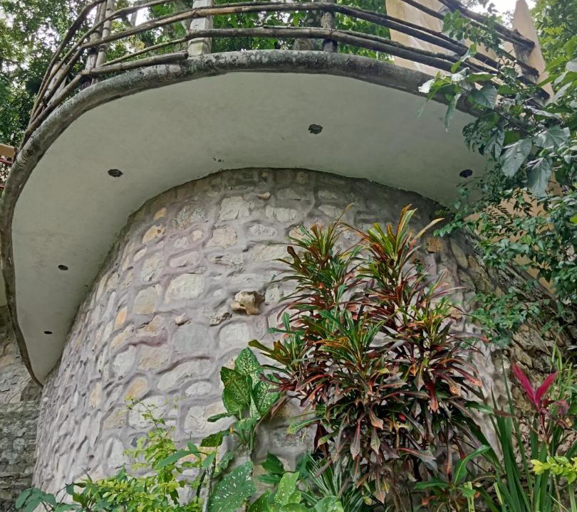 Photo of Others in Xilitla