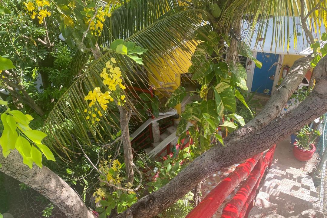 Photo of Others in Tulum City Center