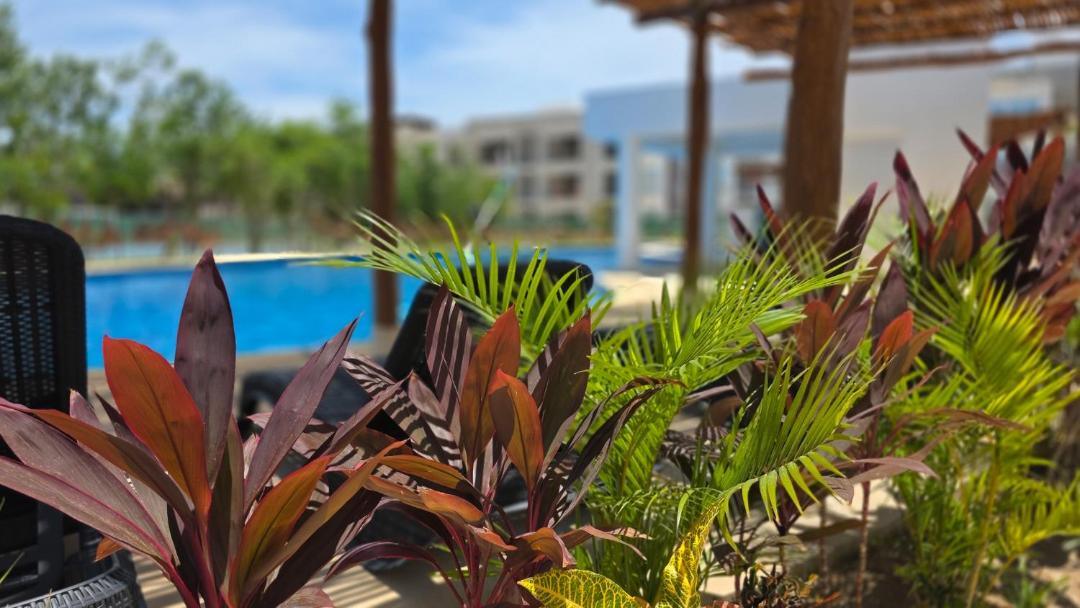 Photo of Others in Cancun
