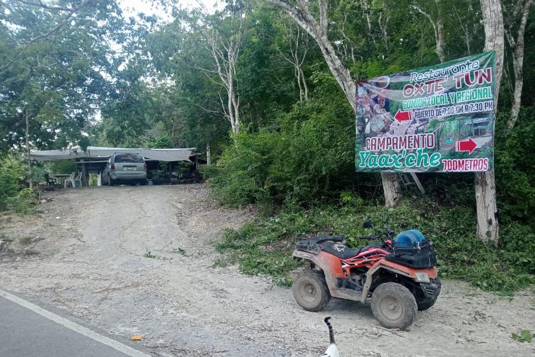 Photo of Others in Calakmul