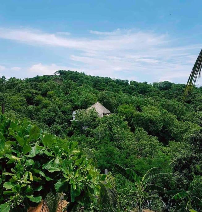 Photo of Outdoor in Puerto Angel