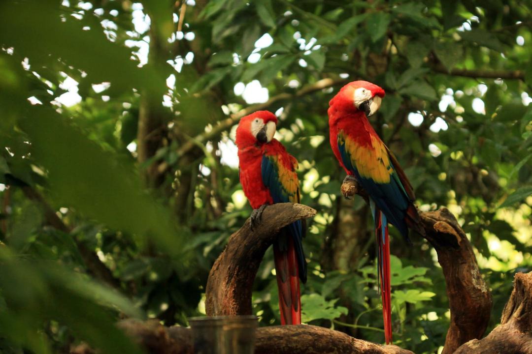 Photo of Others in Palenque