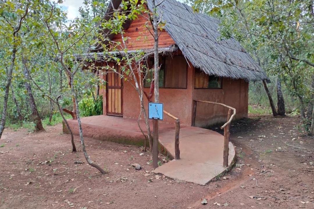 Photo of Others in Xalisco
