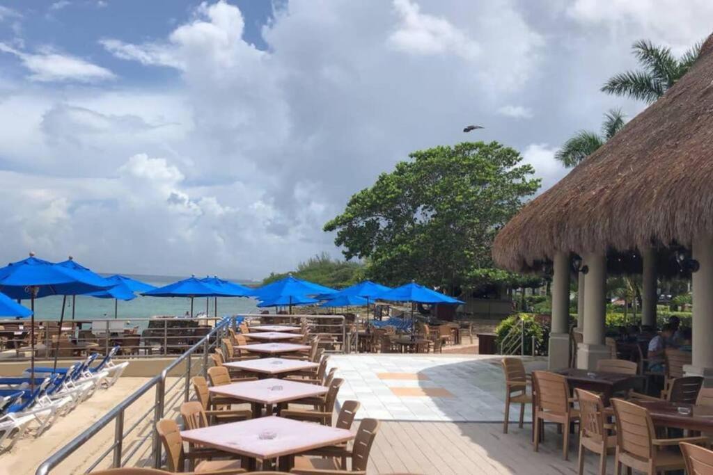 Photo of Others in Cozumel