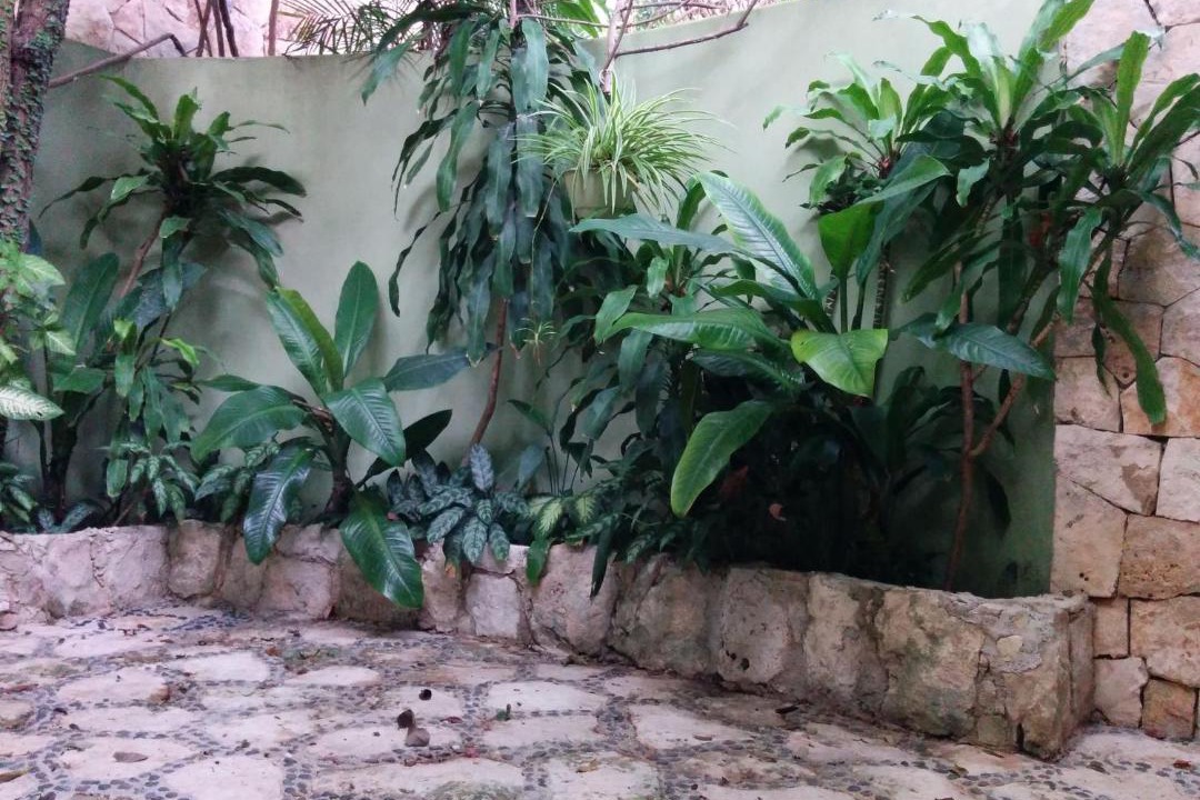 Photo of Buildings in Playacar