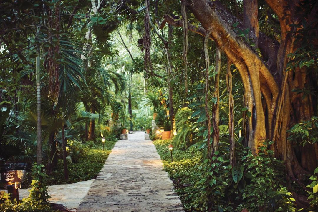 Photo of Others in Maroma