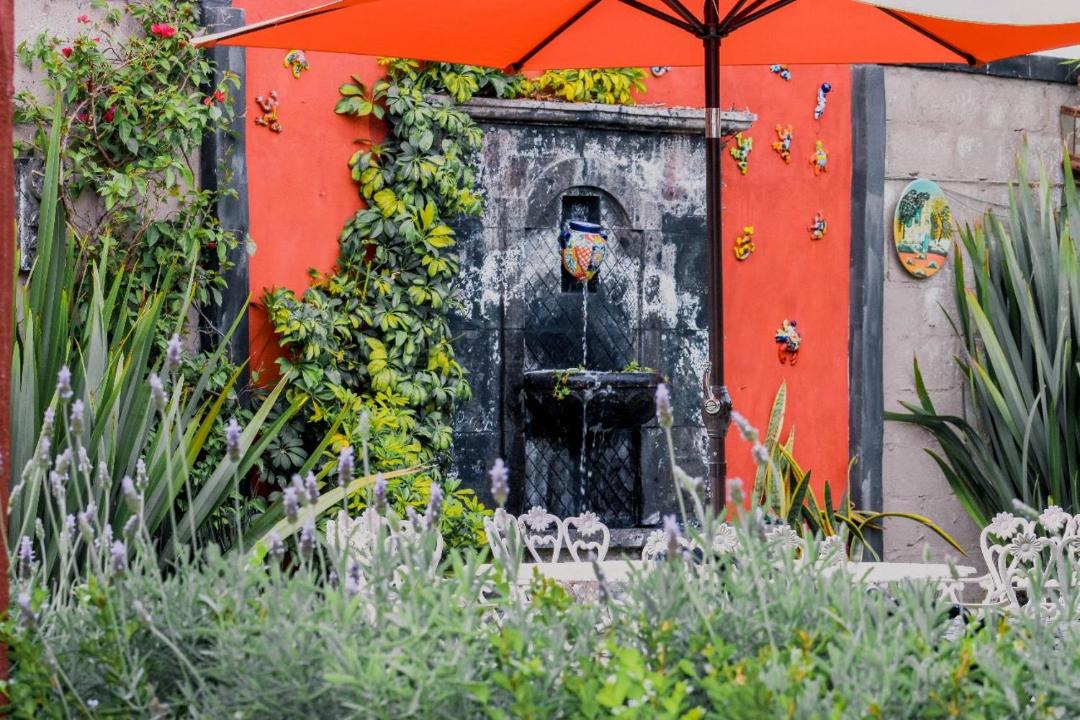 Photo of Others in San Miguel de Allende