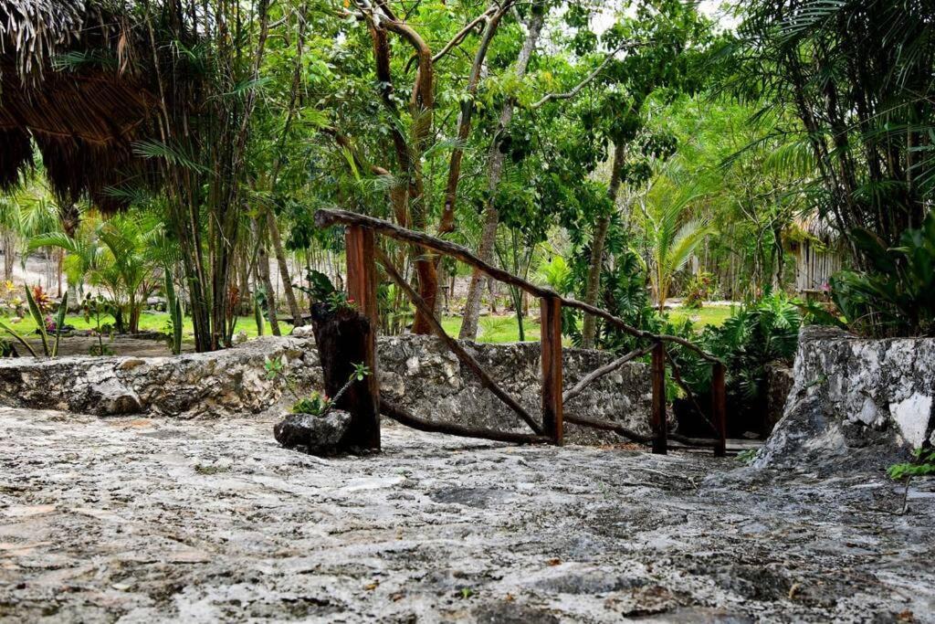 Photo of Others in Downtown Holbox