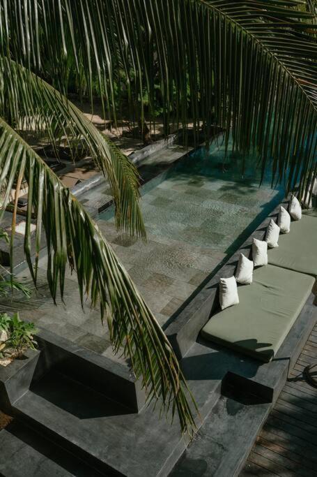 Photo of Others in Tulum