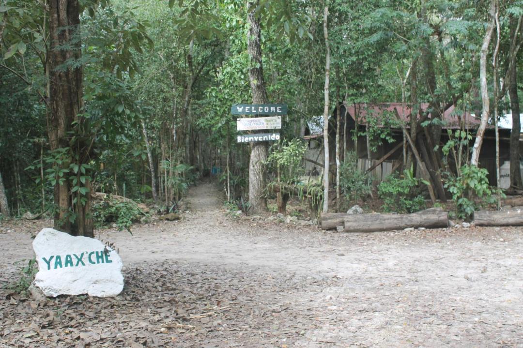 Photo of Others in Calakmul