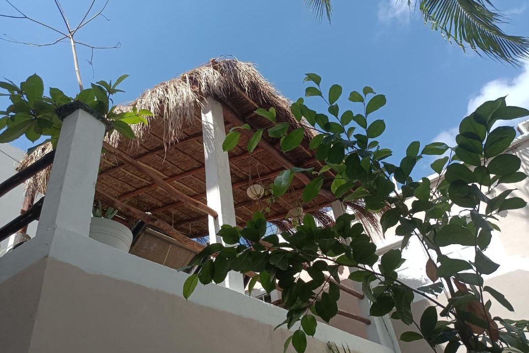 Photo of Others in Zazil-ha